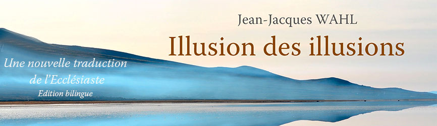 Illusion des illusions